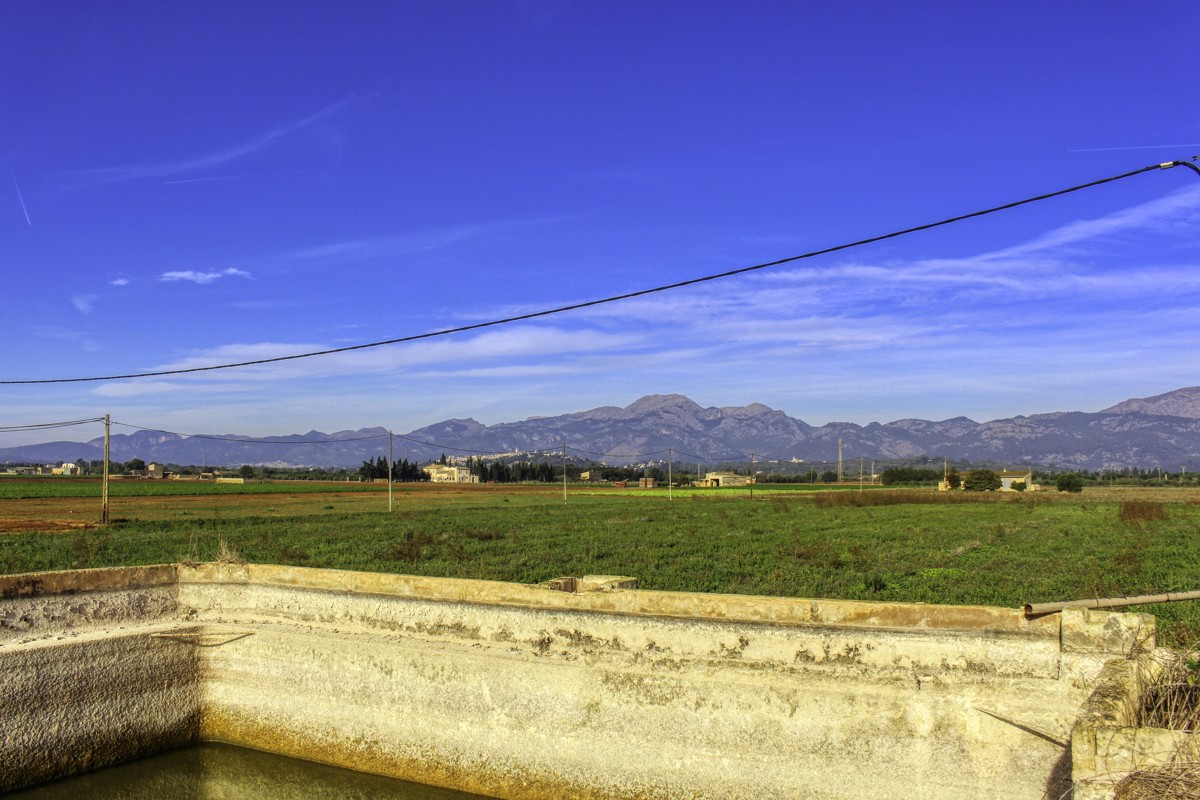 Gran-parcela-con-electricidad-y-agua-para-construir-en-Sa-Pobla-Mallorca