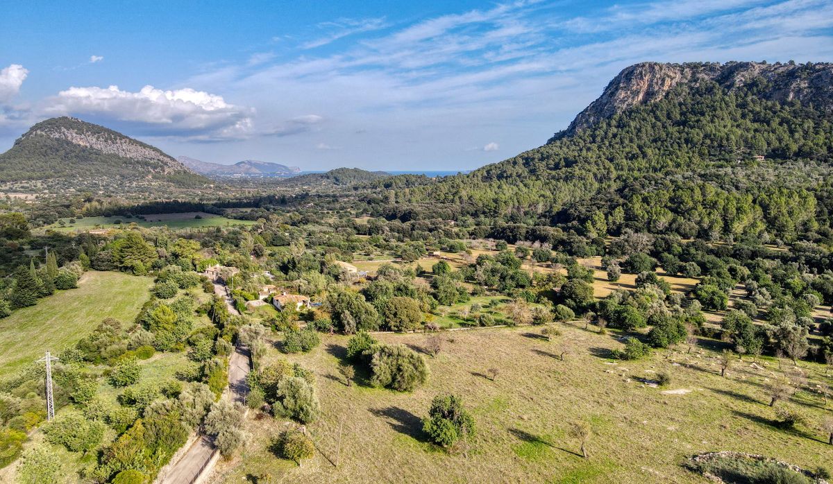 POSESION-POLLENSA-FINCA-POOL-BLICK