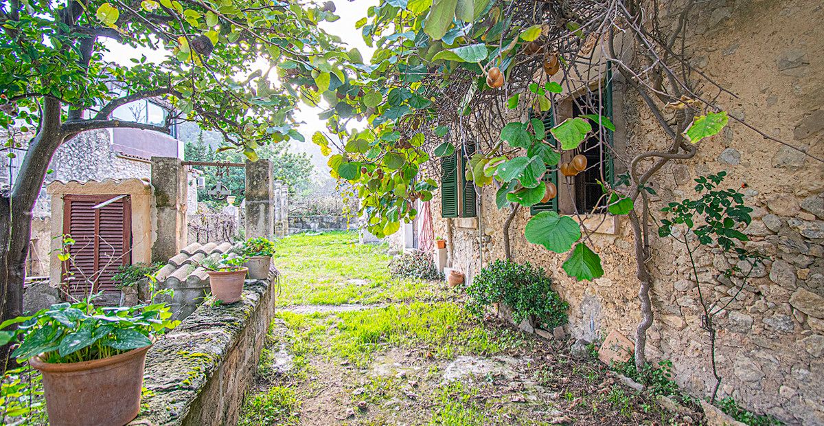 POSESION-POLLENSA-FINCA-POOL-BLICK