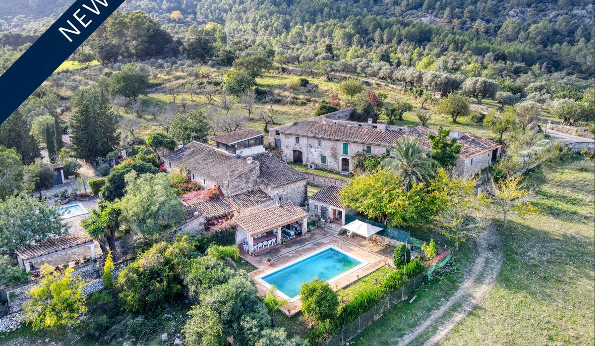 POSESION-POLLENSA-FINCA-POOL-BLICK