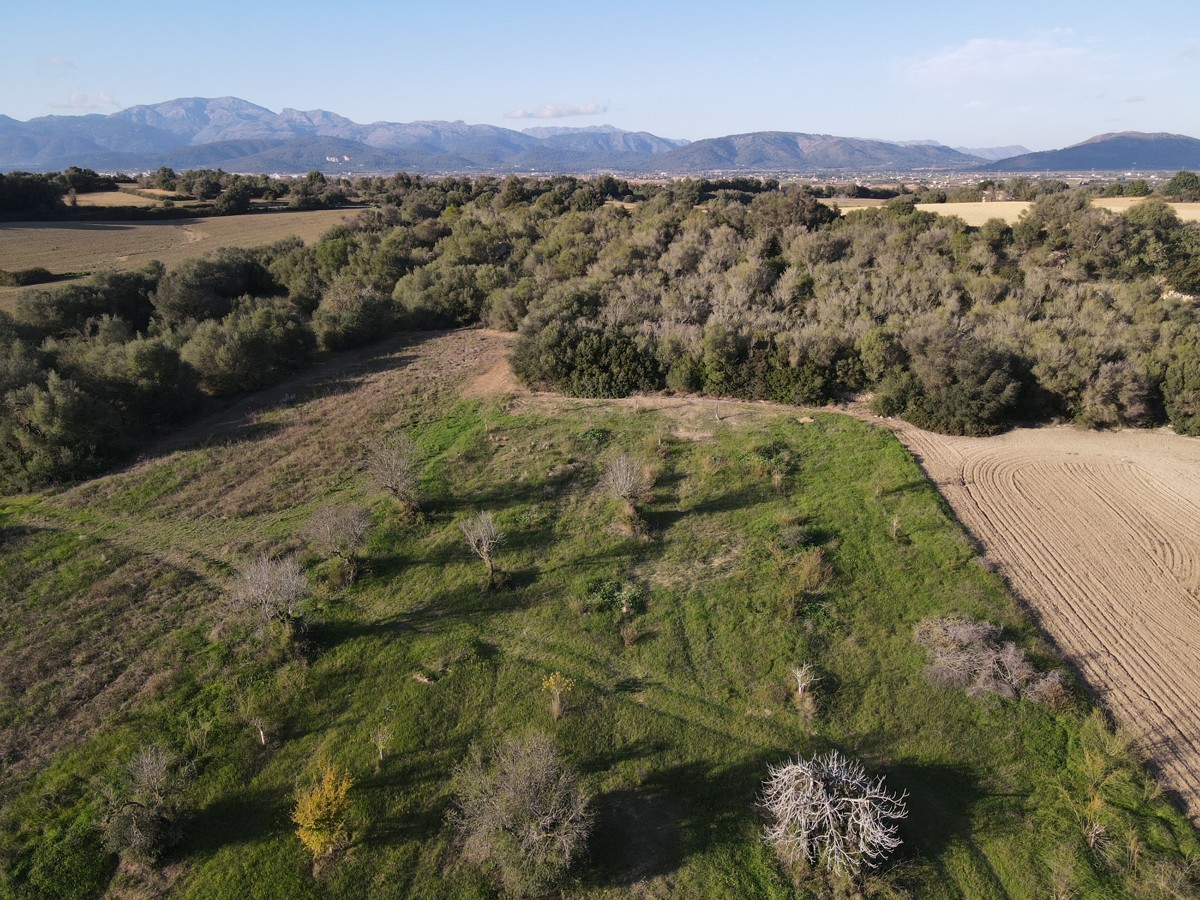 Finca-mit-Bauprojekt-in-Muro