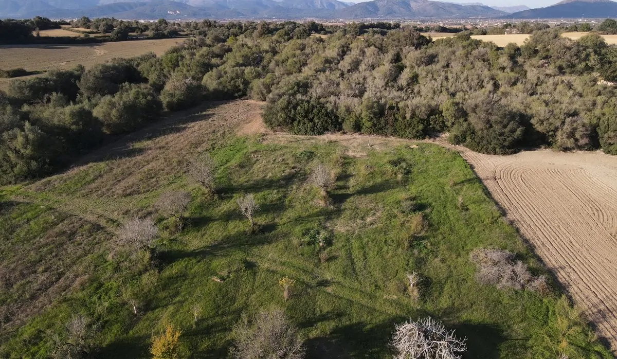 Finca-mit-Bauprojekt-in-Muro
