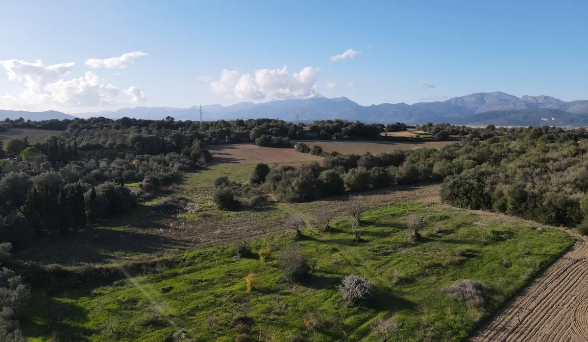 Finca-mit-Bauprojekt-in-Muro