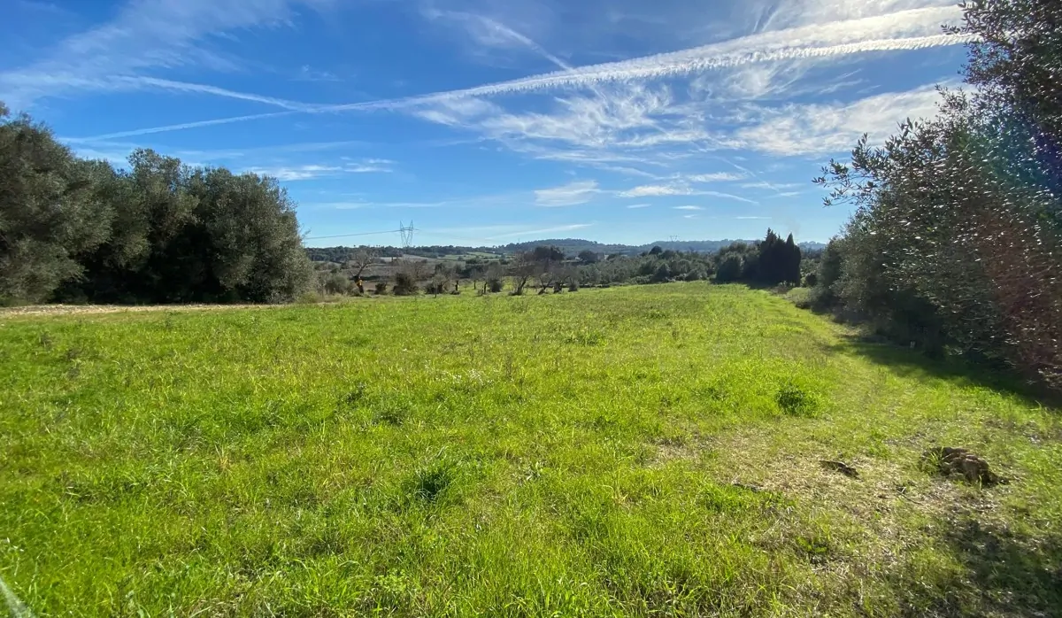 Finca-mit-Bauprojekt-in-Muro