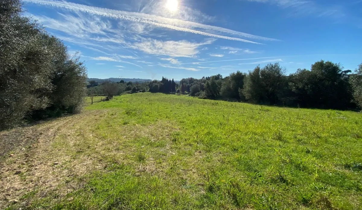 Finca-mit-Bauprojekt-in-Muro