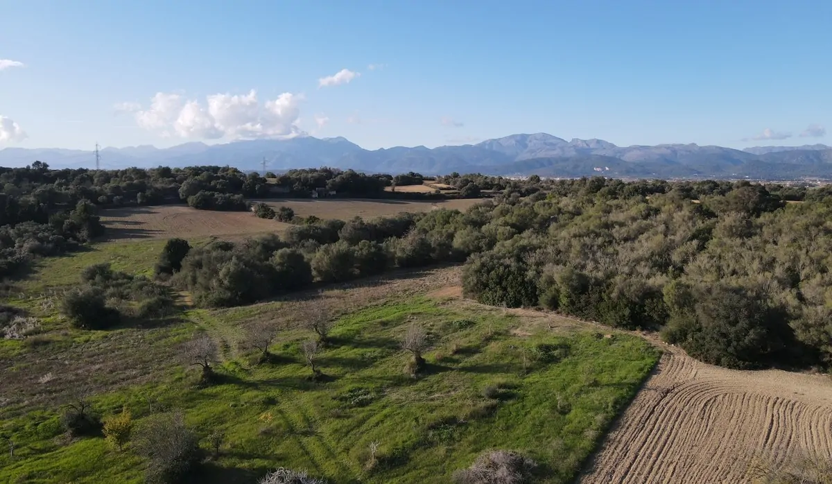 Finca-mit-Bauprojekt-in-Muro