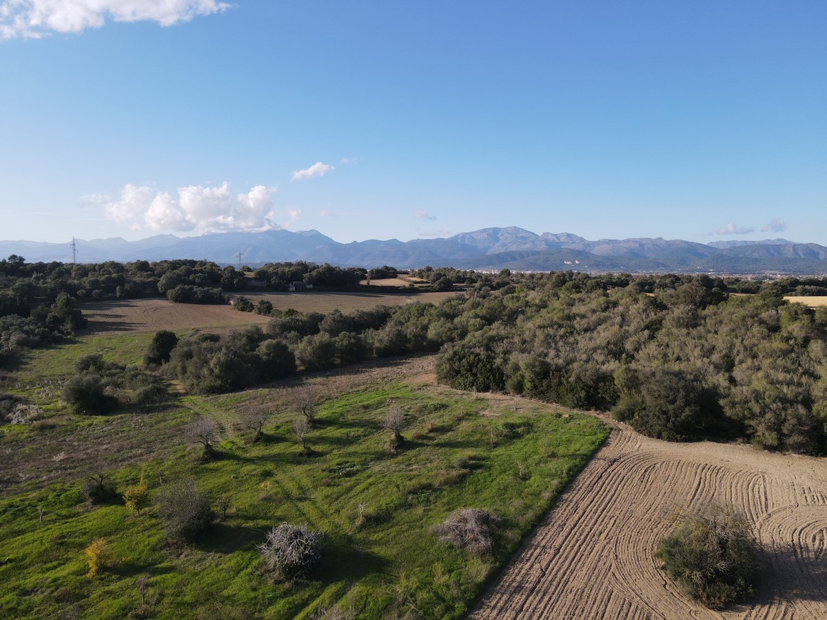 Finca-mit-Bauprojekt-in-Muro