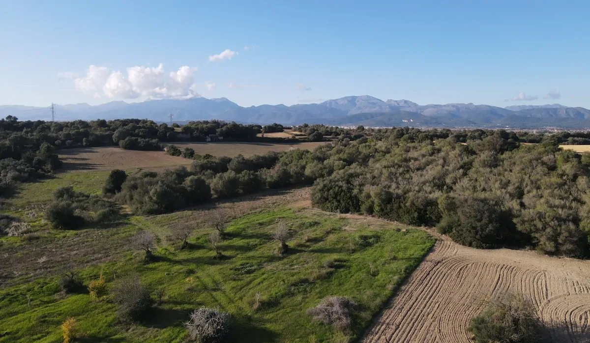 Finca-mit-Bauprojekt-in-Muro