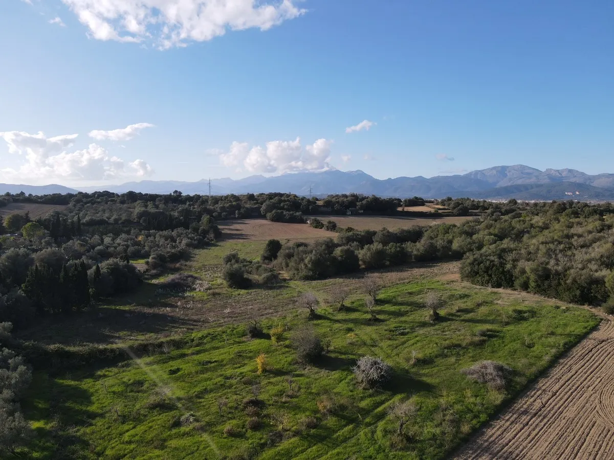 Finca-with-building-project-in-Muro