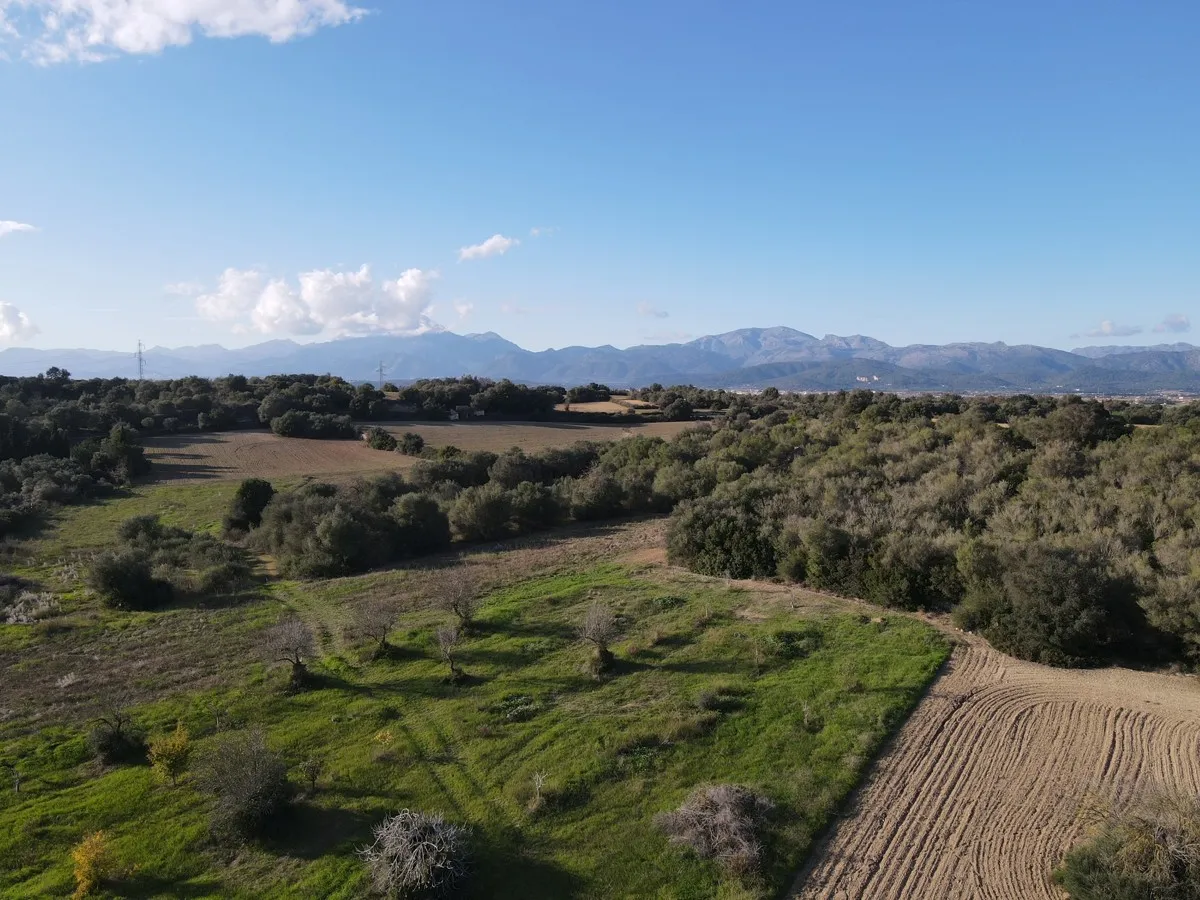 Finca-with-building-project-in-Muro