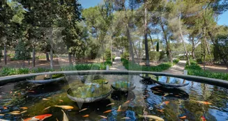 von_poll_real_estate_property_ES234124_image_107