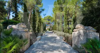 von_poll_real_estate_property_ES234124_image_108