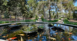 von_poll_real_estate_property_ES234125_image_34