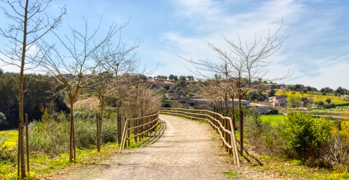 Zu-verkaufen-schöne-Immobilie-Villa-Pool-in-San-Lorenzo-des-Cardessar