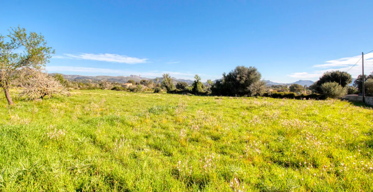 Zu-verkaufen-rustikales-Grundstück-mit-Projekt-für-ein-haus-mit-schwimmbad-guter-lage-von-Artá