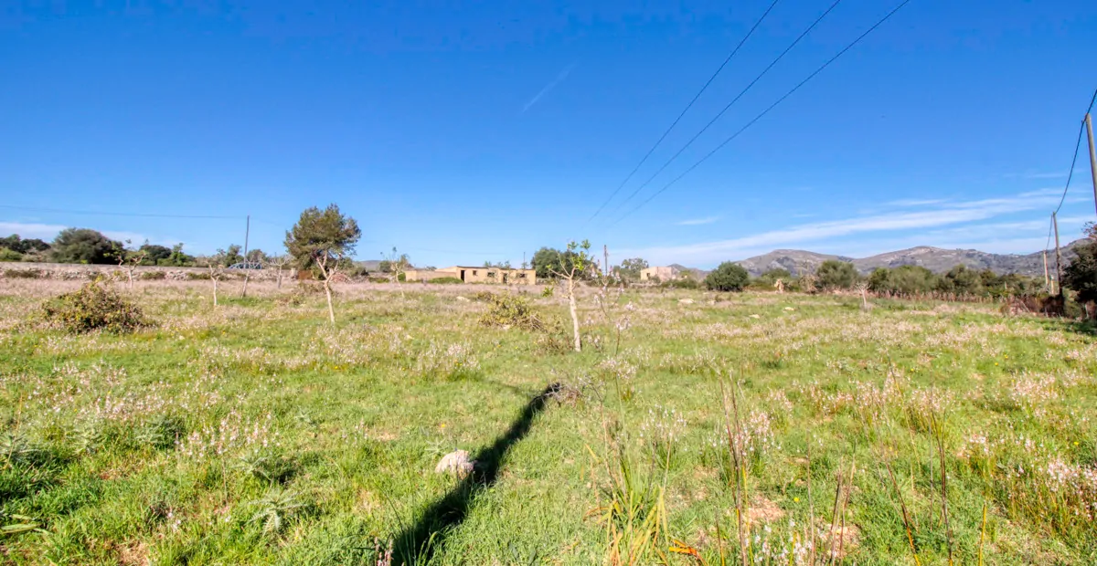 Zu-verkaufen-rustikales-Grundstück-mit-Projekt-für-ein-haus-mit-schwimmbad-guter-lage-von-Artá