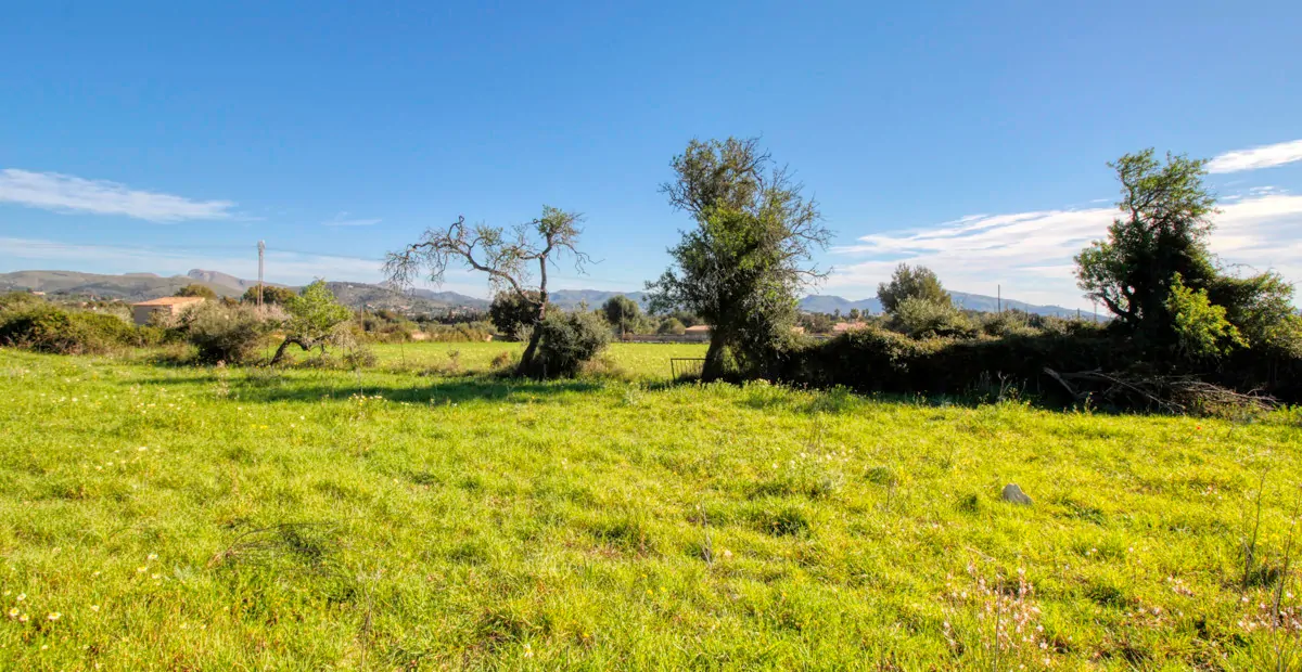 Zu-verkaufen-rustikales-Grundstück-mit-Projekt-für-ein-haus-mit-schwimmbad-guter-lage-von-Artá