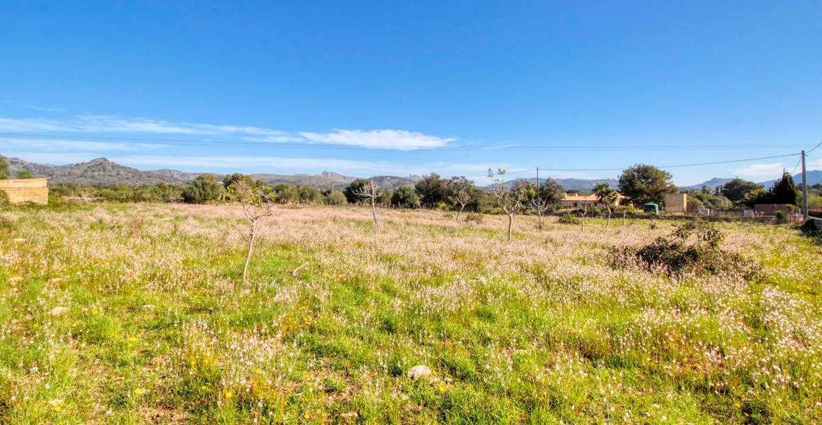 Zu-verkaufen-rustikales-Grundstück-mit-Projekt-für-ein-haus-mit-schwimmbad-guter-lage-von-Artá