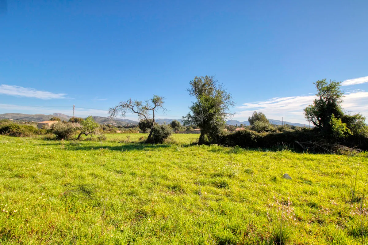 For-sale-rustic-plot-with-project-for-a-hause-with-pool-in-good-area-of-Artá
