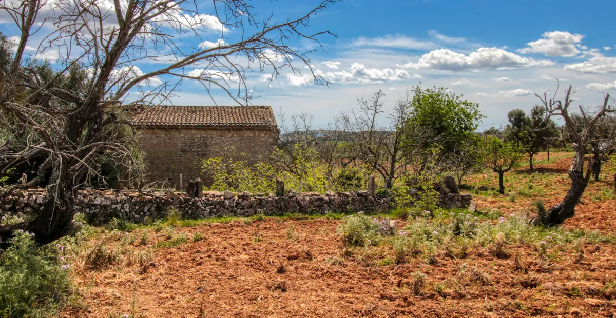 Zu-verkaufen-schönes-traditionelles-Haus-auf-dem-Lande-zu-renovieren-in-San-Lorenzo-de- Cardassar