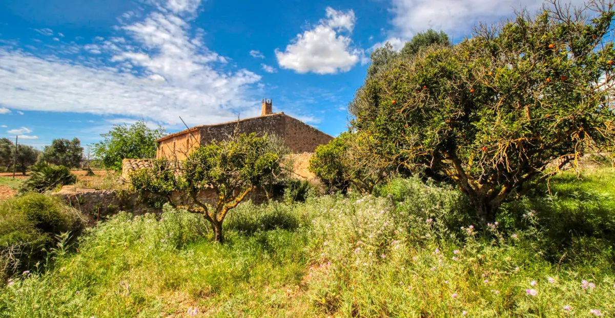 Zu-verkaufen-schönes-traditionelles-Haus-auf-dem-Lande-zu-renovieren-in-San-Lorenzo-de- Cardassar