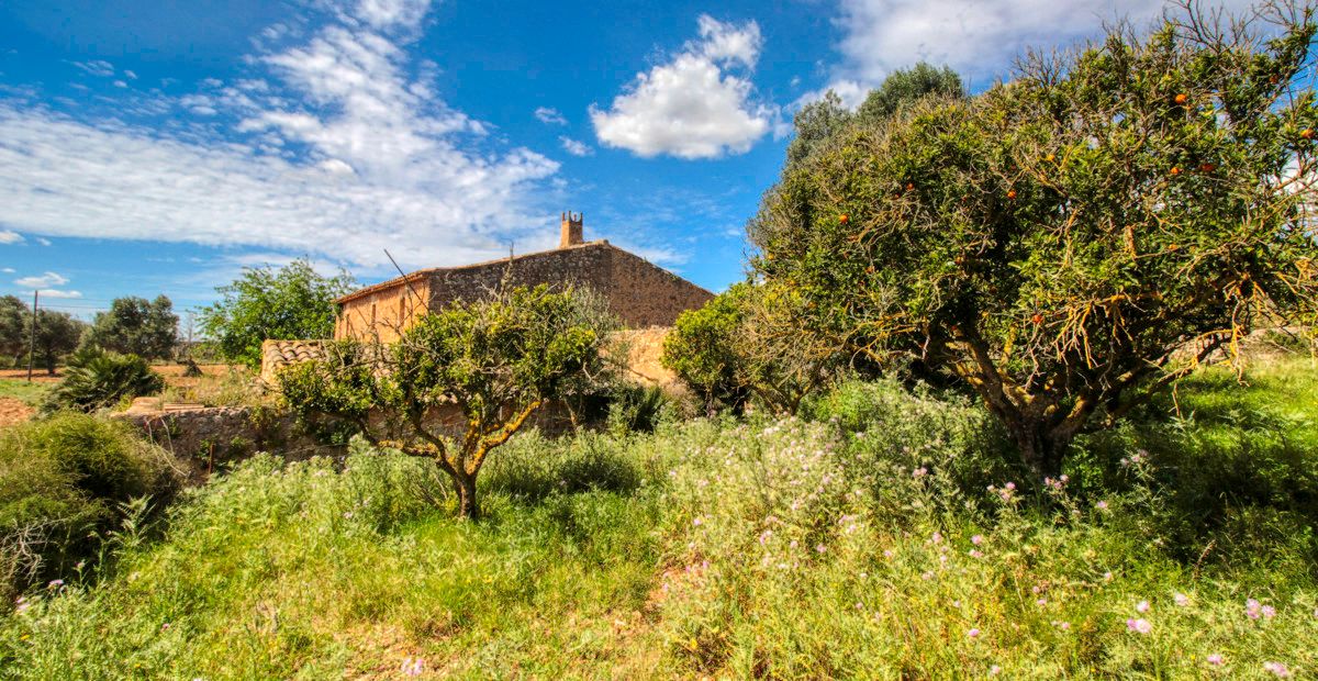 Zu-verkaufen-schönes-traditionelles-Haus-auf-dem-Lande-zu-renovieren-in-San-Lorenzo-de- Cardassar