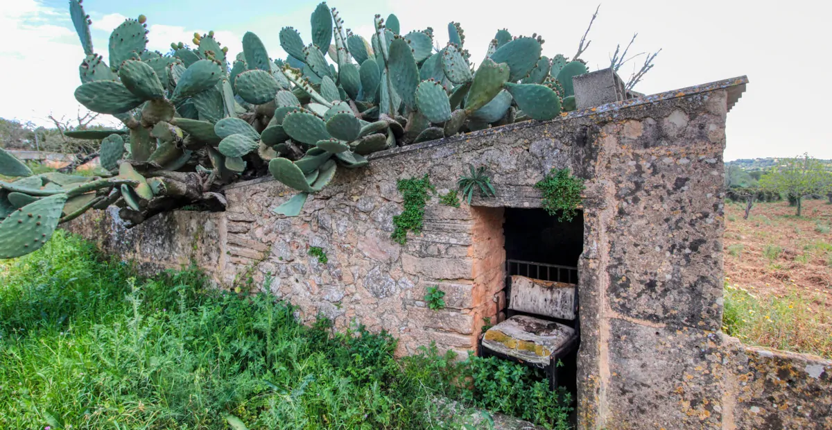 Zu-verkaufen-schönes-traditionelles-Haus-auf-dem-Lande-zu-renovieren-in-San-Lore