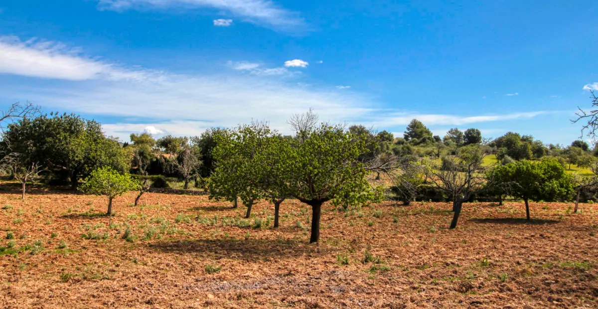 Zu-verkaufen-schönes-traditionelles-Haus-auf-dem-Lande-zu-renovieren-in-San-Lorenzo-de- Cardassar