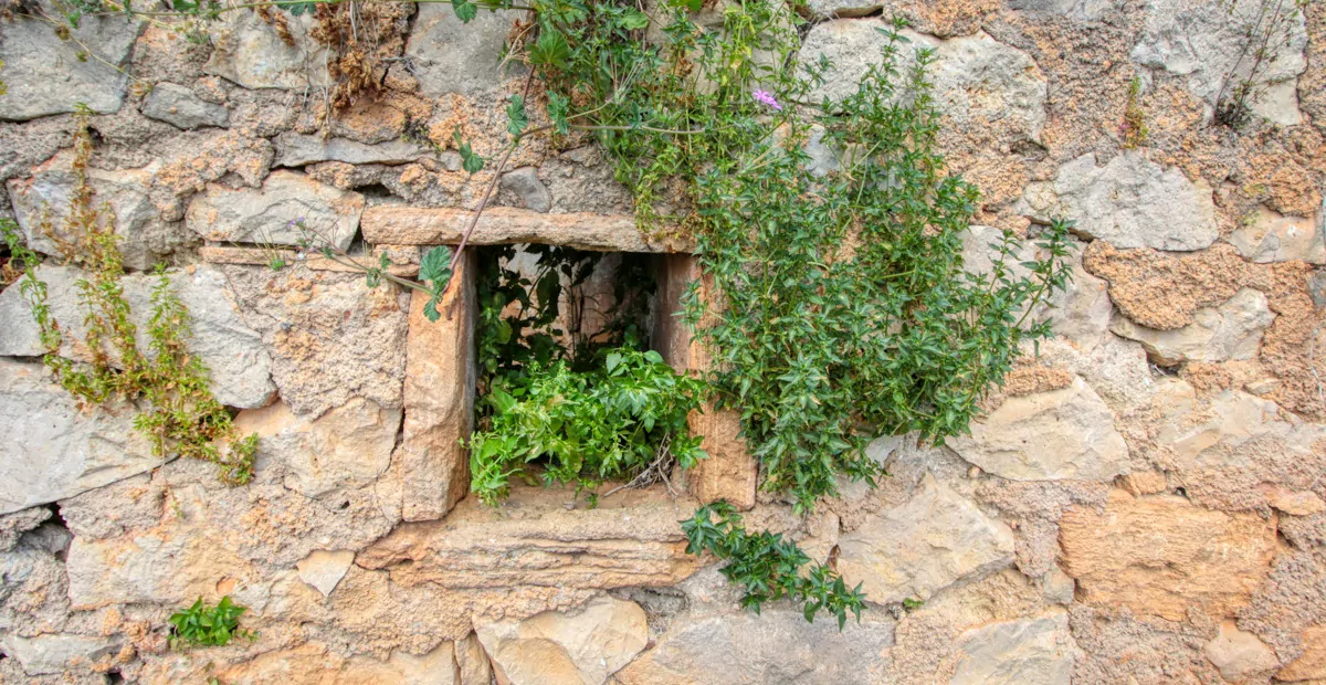 Zu-verkaufen-schönes-traditionelles-Haus-auf-dem-Lande-zu-renovieren-in-San-Lorenzo-de- Cardassar