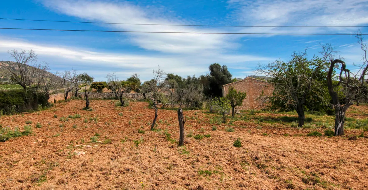 Zu-verkaufen-schönes-traditionelles-Haus-auf-dem-Lande-zu-renovieren-in-San-Lorenzo-de- Cardassar