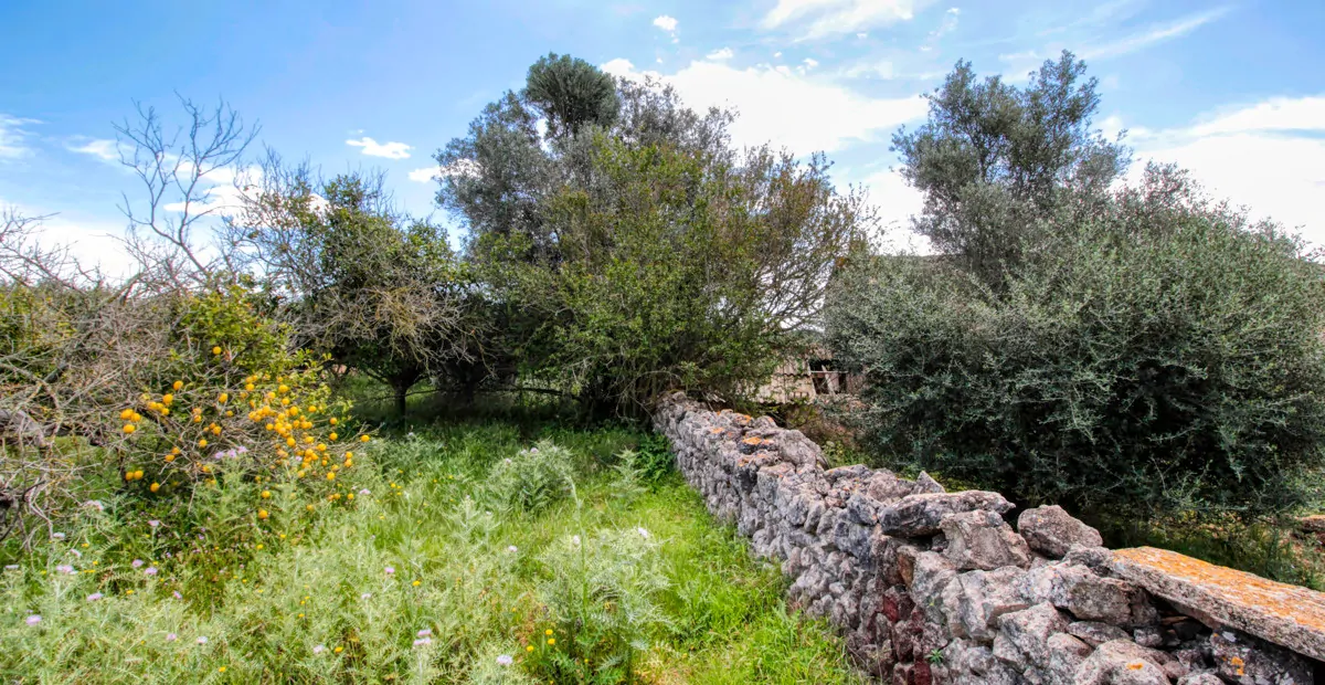 Zu-verkaufen-schönes-traditionelles-Haus-auf-dem-Lande-zu-renovieren-in-San-Lorenzo-de- Cardassar