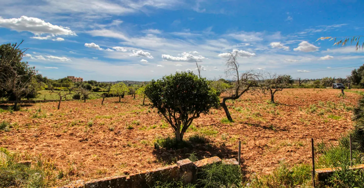 Zu-verkaufen-schönes-traditionelles-Haus-auf-dem-Lande-zu-renovieren-in-San-Lorenzo-de- Cardassar