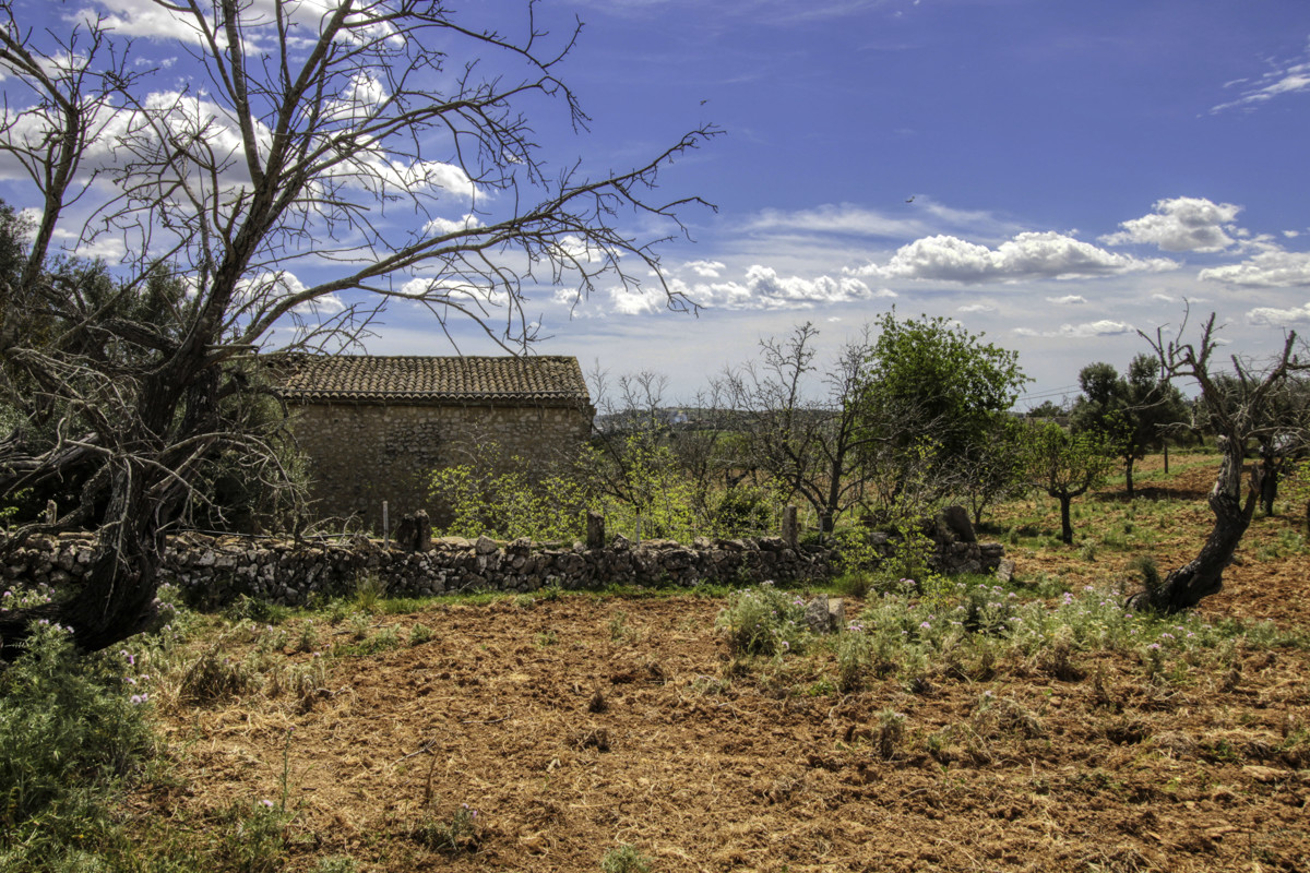En-venta-preciosa-casa-tradicional-en-el-campo-para-reformar-en-San-Lorenzo-de-Cardassar