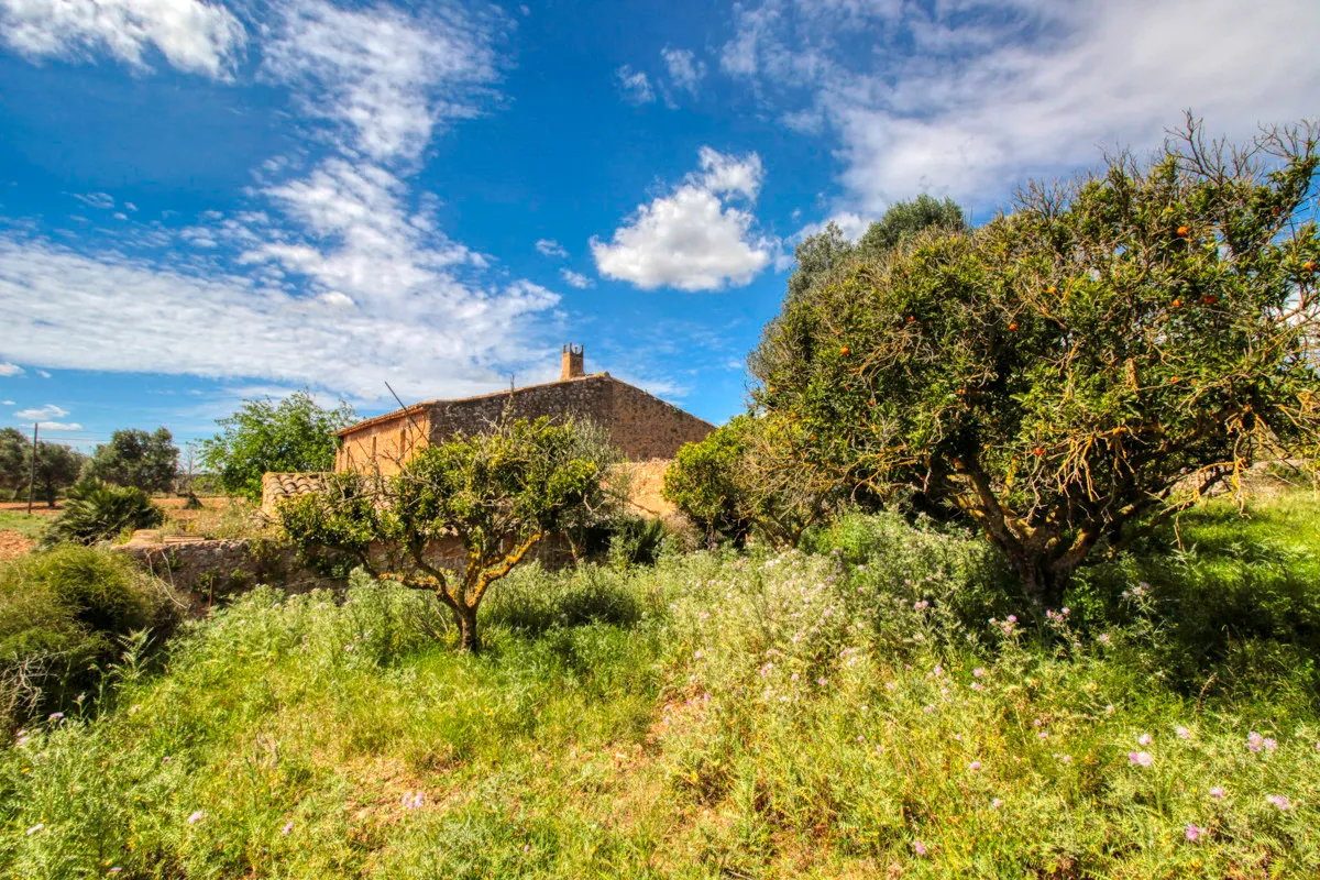 En-venta-preciosa-casa-tradicional-en-el-campo-para-reformar-en-San-Lorenzo-de-Cardassar