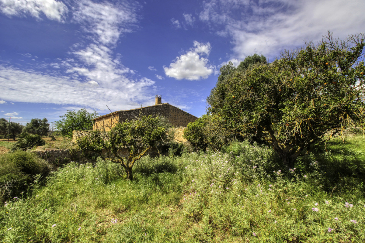 En-venta-preciosa-casa-tradicional-en-el-campo-para-reformar-en-San-Lorenzo-de-Cardassar