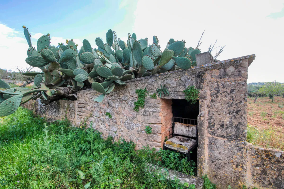 En-venta-preciosa-casa-tradicional-en-el-campo-para-reformar-en-San-Lorenzo-de-Cardassar
