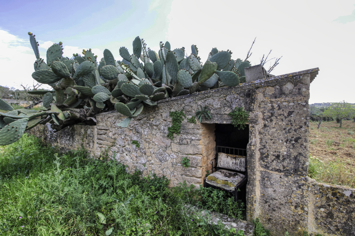 En-venta-preciosa-casa-tradicional-en-el-campo-para-reformar-en-San-Lorenzo-de-Cardassar