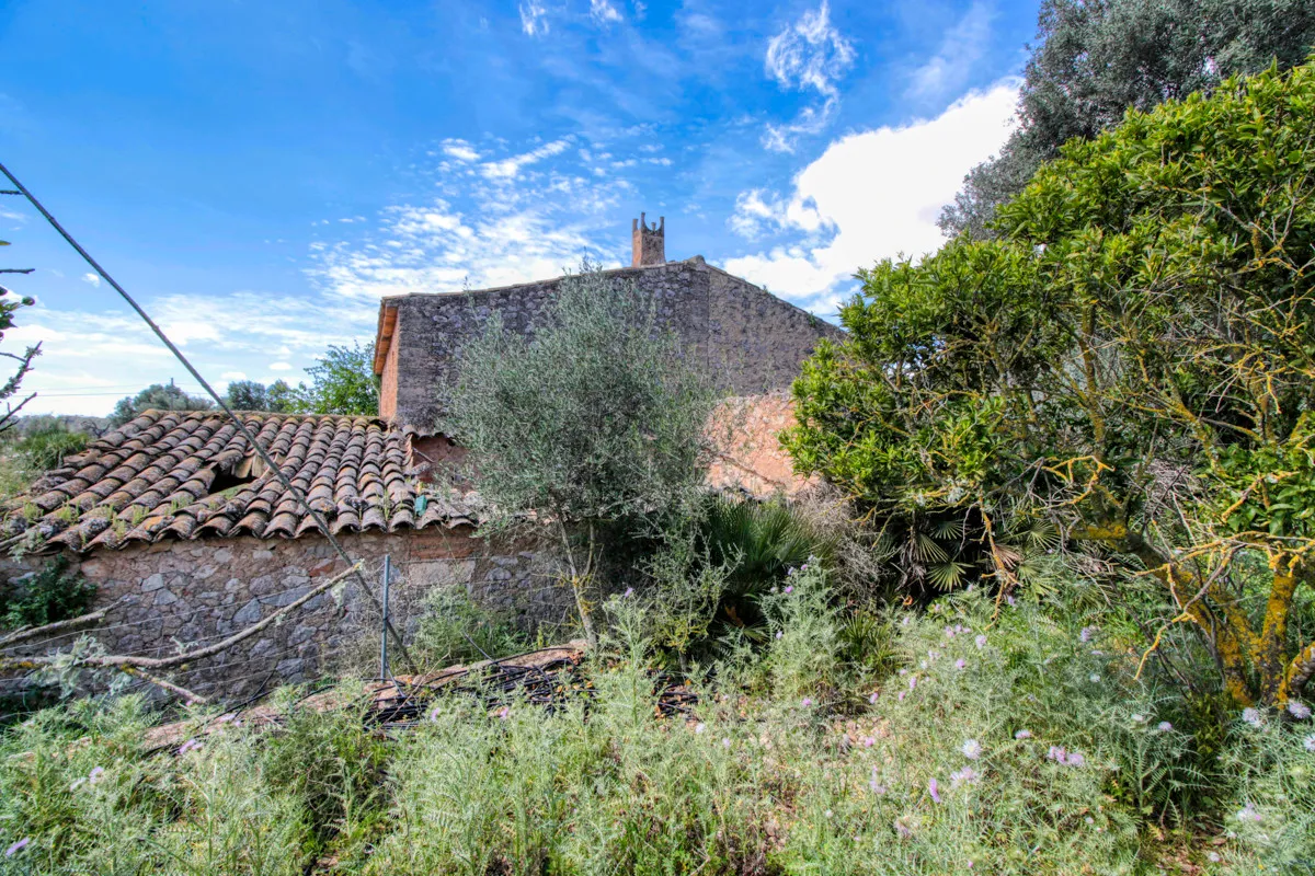En-venta-preciosa-casa-tradicional-en-el-campo-para-reformar-en-San-Lorenzo-de-Cardassar