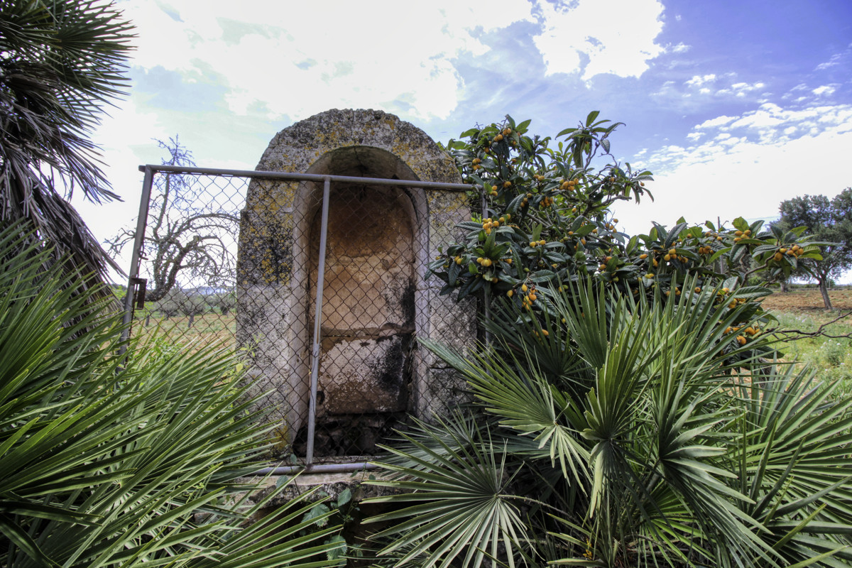 En-venta-preciosa-casa-tradicional-en-el-campo-para-reformar-en-San-Lorenzo-de-Cardassar