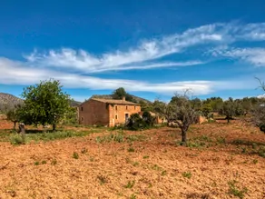 En-venta-preciosa-casa-tradicional-en-el-campo-para-reformar-en-San-Lorenzo-de-Cardassar