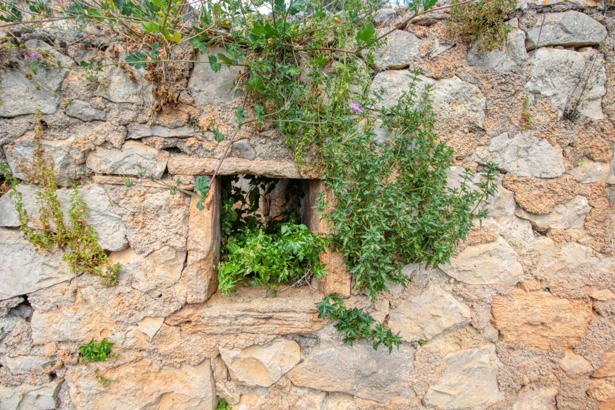 En-venta-preciosa-casa-tradicional-en-el-campo-para-reformar-en-San-Lorenzo-de-Cardassar
