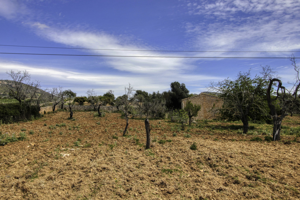 En-venta-preciosa-casa-tradicional-en-el-campo-para-reformar-en-San-Lorenzo-de-Cardassar