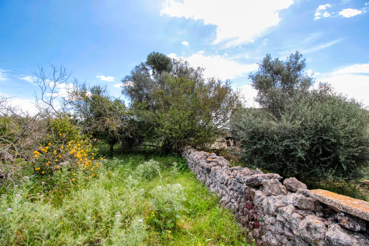 En-venta-preciosa-casa-tradicional-en-el-campo-para-reformar-en-San-Lorenzo-de-Cardassar
