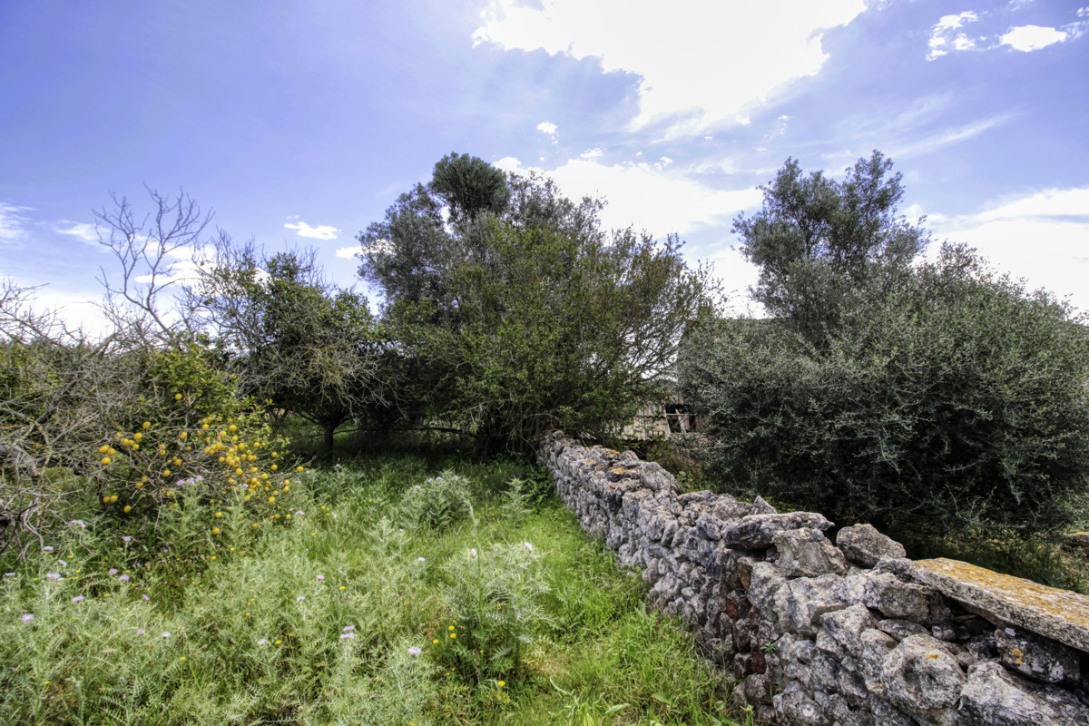 En-venta-preciosa-casa-tradicional-en-el-campo-para-reformar-en-San-Lorenzo-de-Cardassar