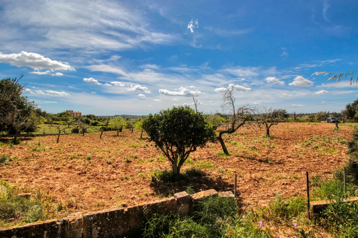 En-venta-preciosa-casa-tradicional-en-el-campo-para-reformar-en-San-Lorenzo-de-Cardassar
