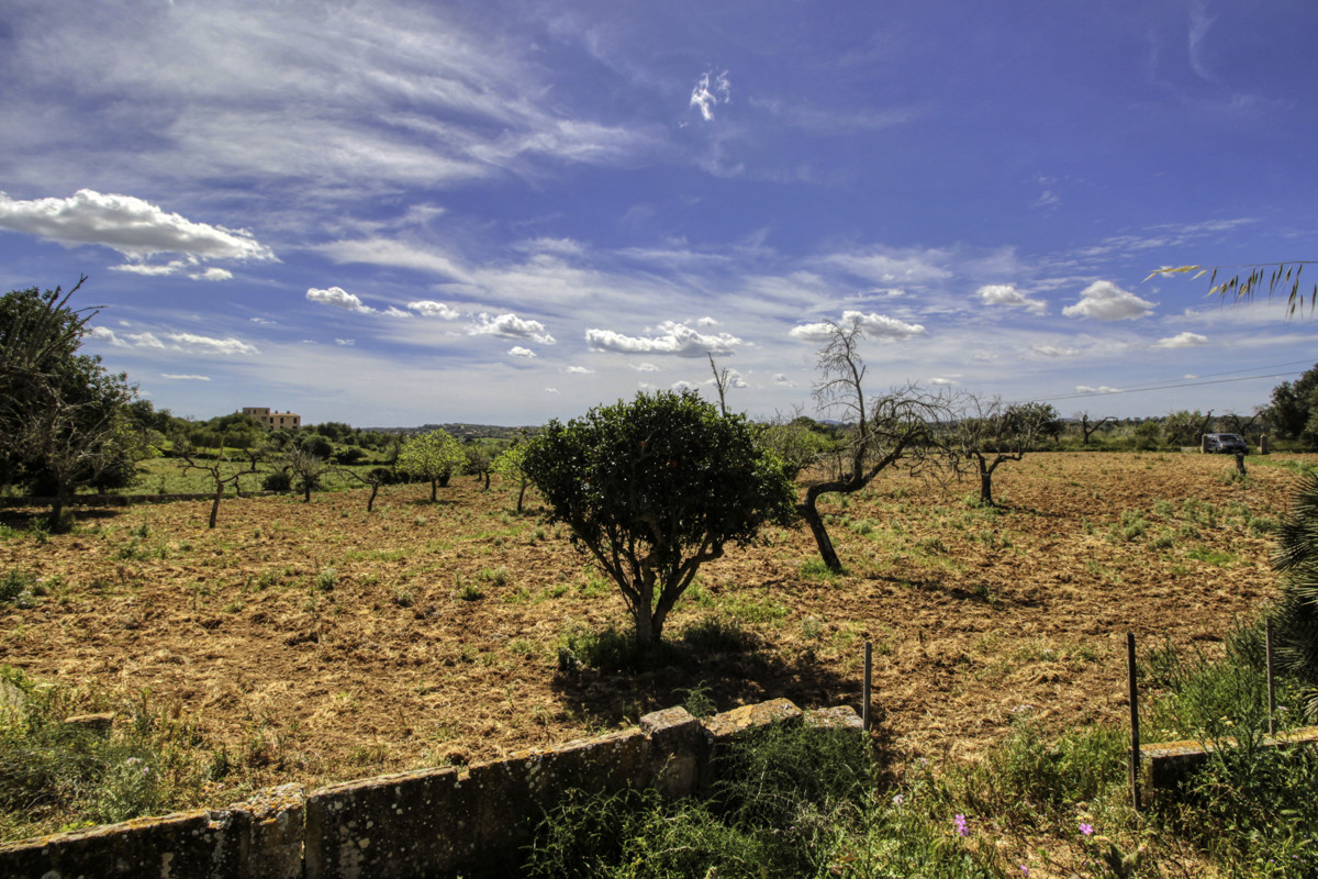 En-venta-preciosa-casa-tradicional-en-el-campo-para-reformar-en-San-Lorenzo-de-Cardassar