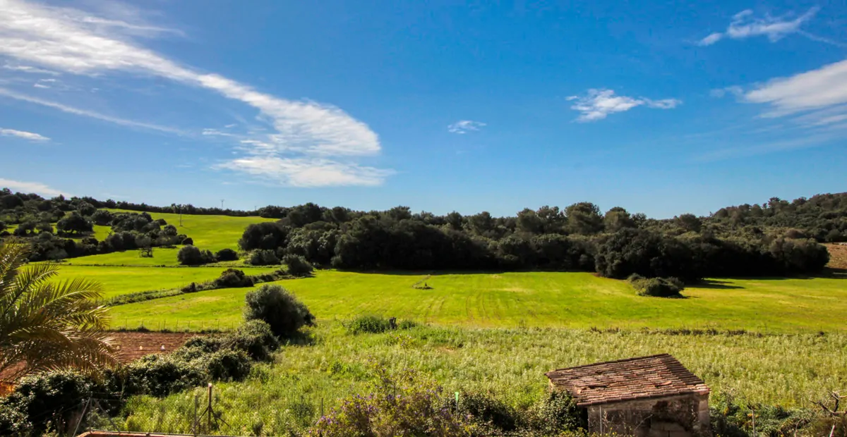 Zu-verkaufen-großes-Anwesen-von-mehr-als-36-Hektar-ehemaliger-Besitz-in-Sant LLorenç