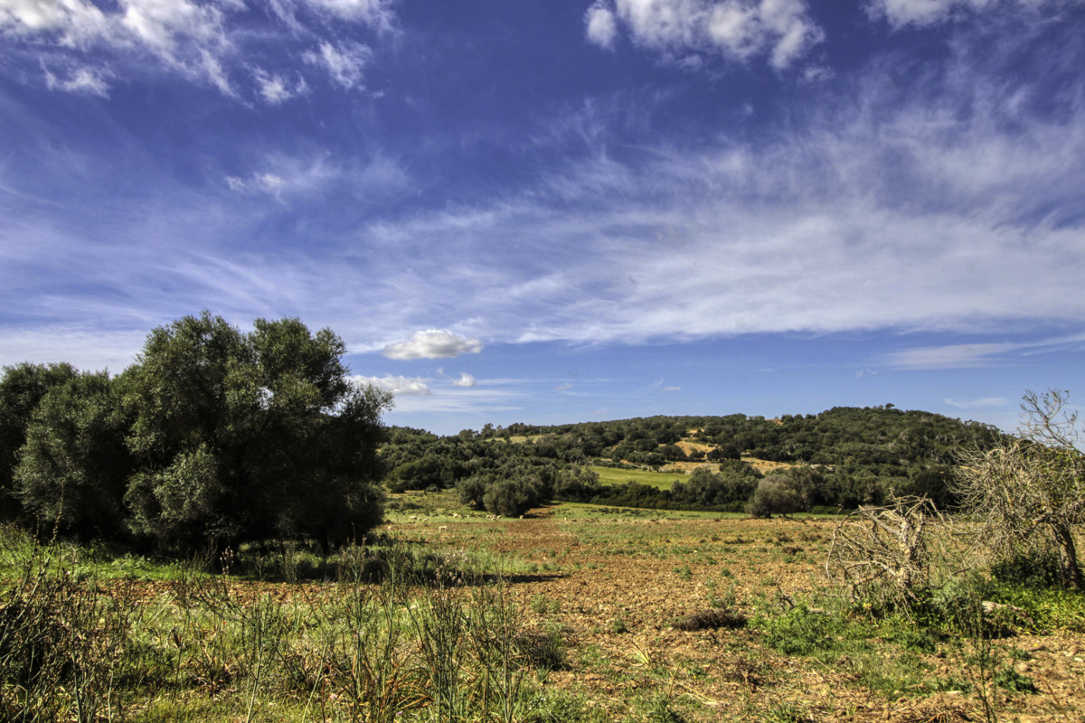 Zu-verkaufen-großes-Anwesen-von-mehr-als-36-Hektar-ehemaliger-Besitz-in-Sant LLorenç