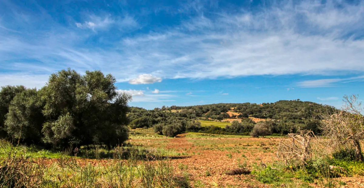 Zu-verkaufen-großes-Anwesen-von-mehr-als-36-Hektar-ehemaliger-Besitz-in-Sant LLorenç