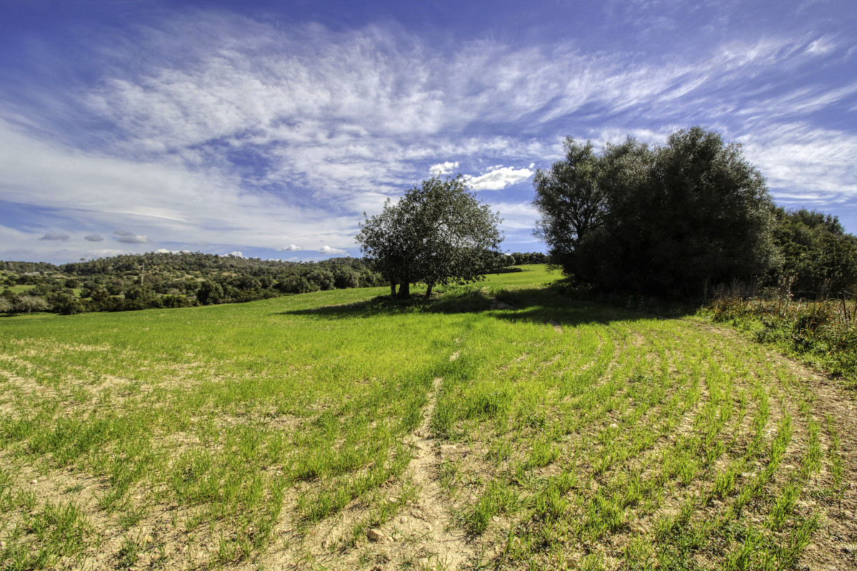 Zu-verkaufen-großes-Anwesen-von-mehr-als-36-Hektar-ehemaliger-Besitz-in-Sant LLorenç